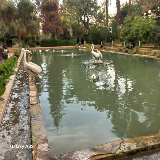 عکس باغ گلشن
