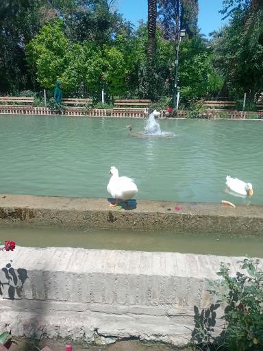 عکس باغ گلشن