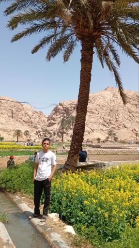 عکس باغ گلشن