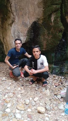 عکس باغ گلشن