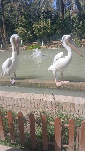 عکس باغ گلشن