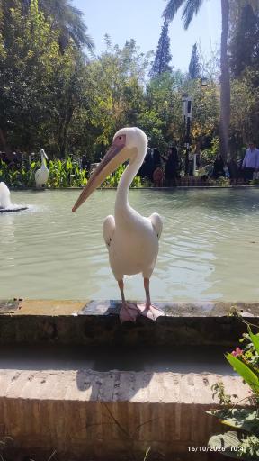 عکس باغ گلشن