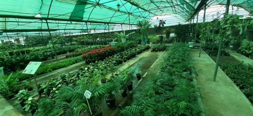 عکس بازار گل و گیاه فکوری