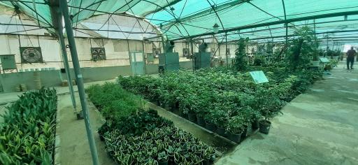 عکس بازار گل و گیاه فکوری