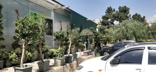 عکس بازار گل و گیاه فکوری