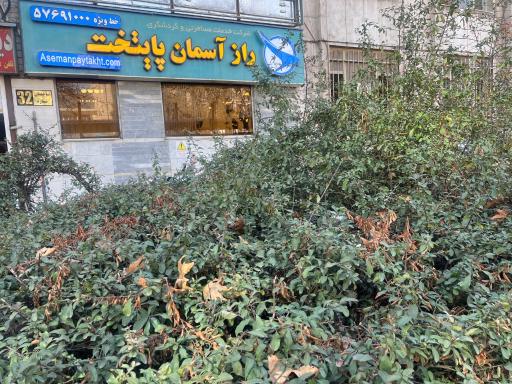 عکس آژانس مسافرتی راز آسمان پایتخت