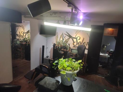 عکس آرایشگاه هنری