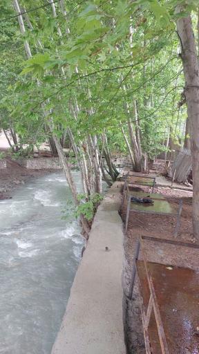 عکس باغ خانوادگی بیشه