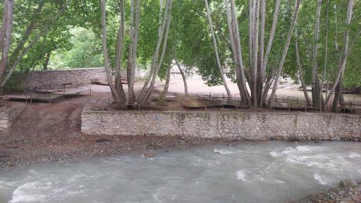 عکس باغ خانوادگی بیشه