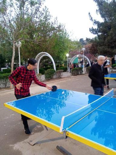 عکس زمین پینگ پنگ