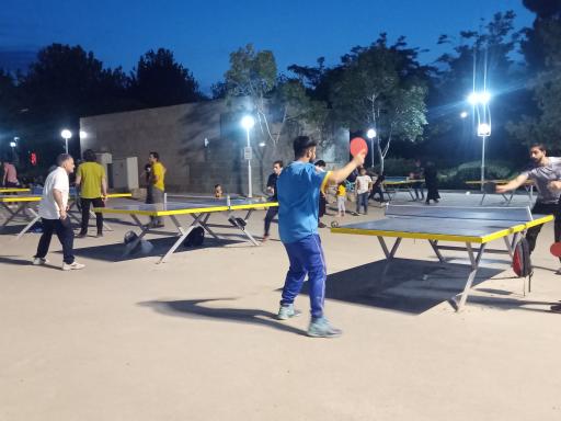 عکس زمین پینگ پنگ