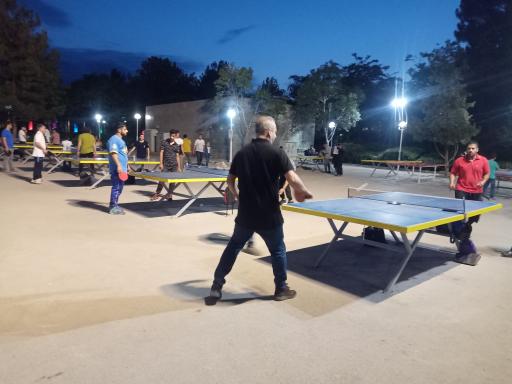 عکس زمین پینگ پنگ