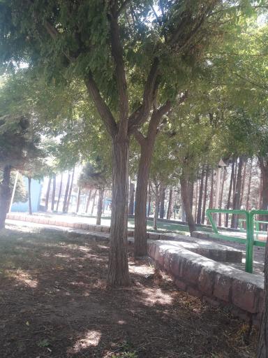 عکس پارک شهدا
