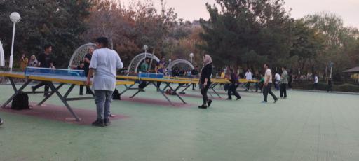 عکس زمین پینگ پنگ