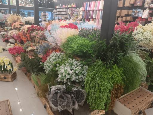 عکس کادویی پیوند