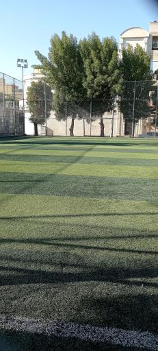 عکس چمن ورزشی