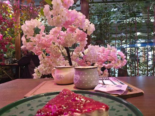 عکس کافه میشو