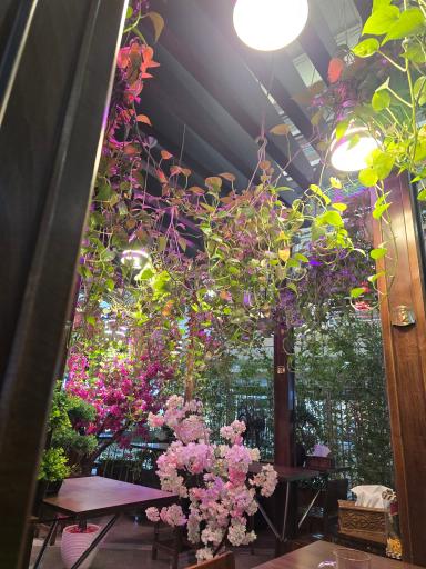 عکس کافه میشو