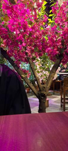 عکس کافه میشو