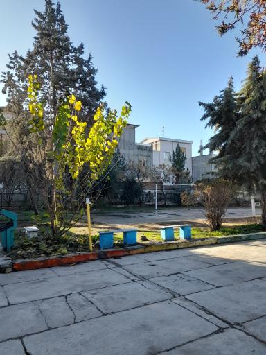عکس دبیرستان نمونه دولتی کوثر