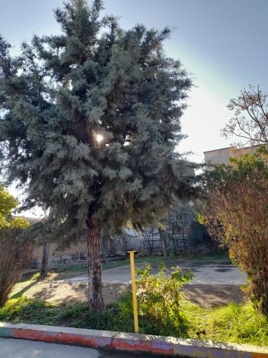 عکس دبیرستان نمونه دولتی کوثر