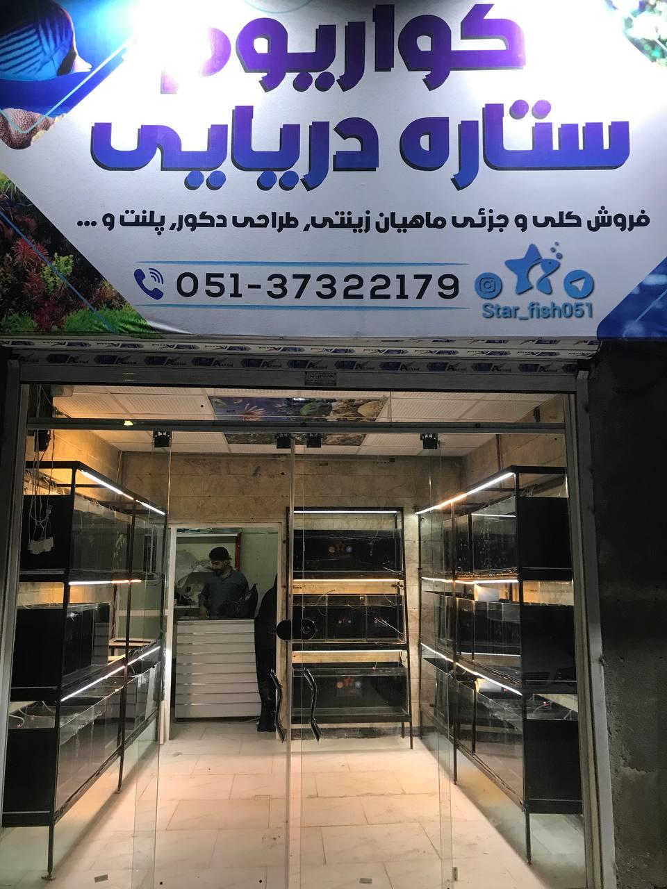 عکس آکواریوم ستاره دریایی