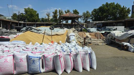 عکس مرکز خرید گندم