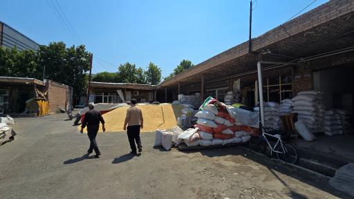 عکس مرکز خرید گندم