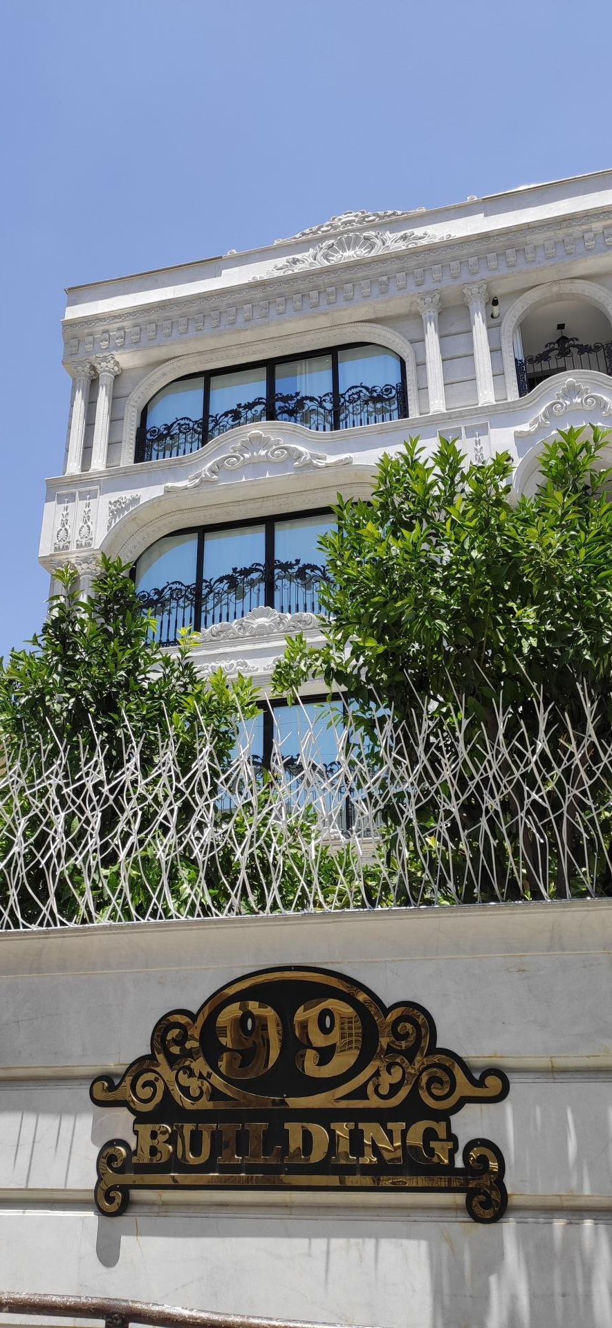 عکس حفاظ نرده شاخ گوزنی بوته ای پارس