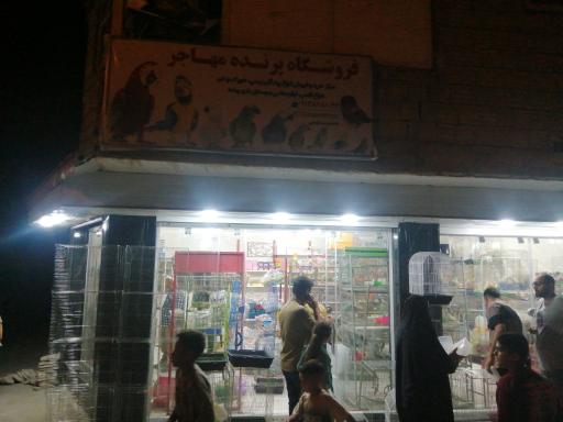 عکس فروشگاه پرنده مهاجر