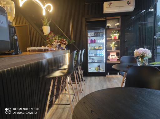 عکس کافه نورسا