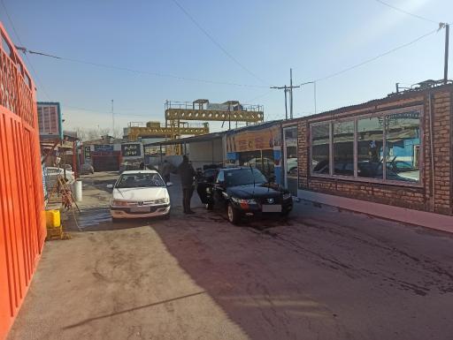 عکس کارواش اسب سفید