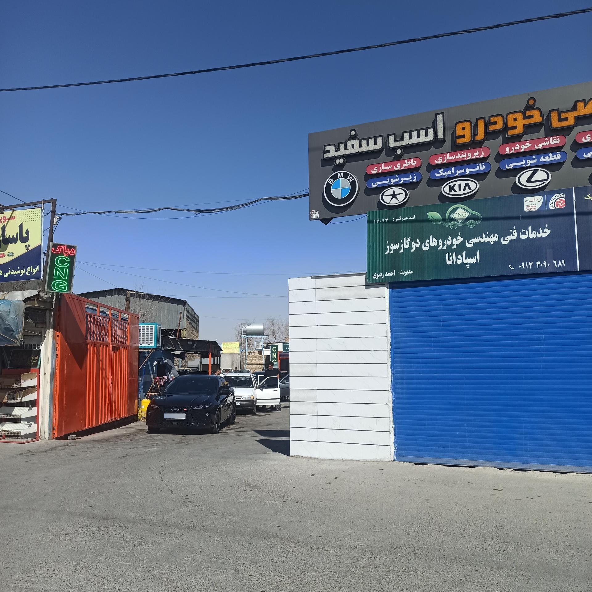 عکس کارواش اسب سفید