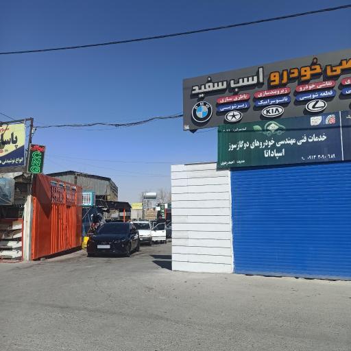 عکس کارواش اسب سفید