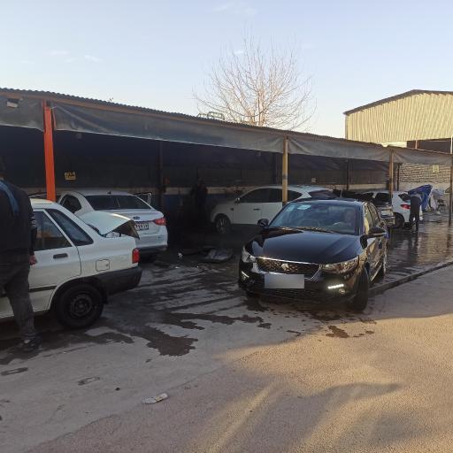 عکس کارواش اسب سفید