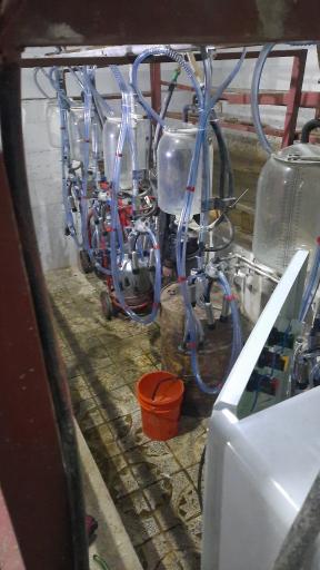 فروشگاه ادوات دامداری زرین جویی