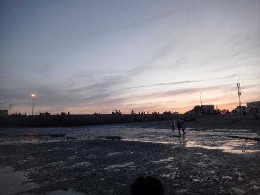 عکس بوستان صدف