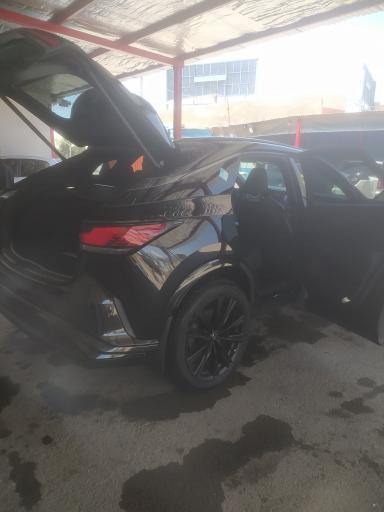 عکس کارواش اسب سفید