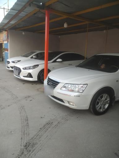 عکس کارواش اسب سفید