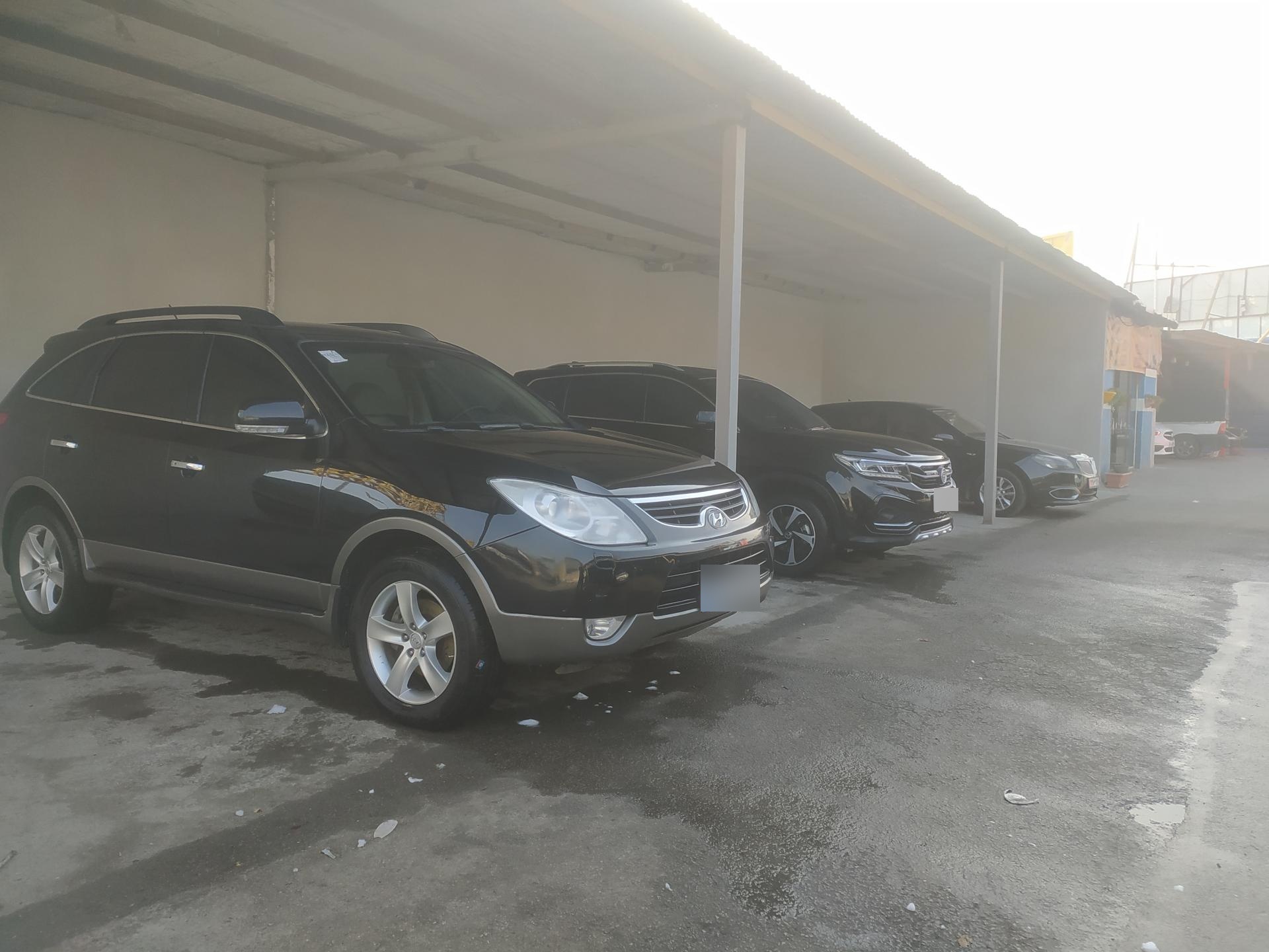 عکس کارواش اسب سفید