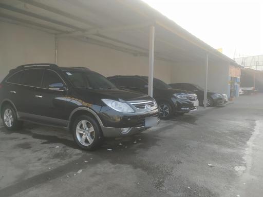 عکس کارواش اسب سفید