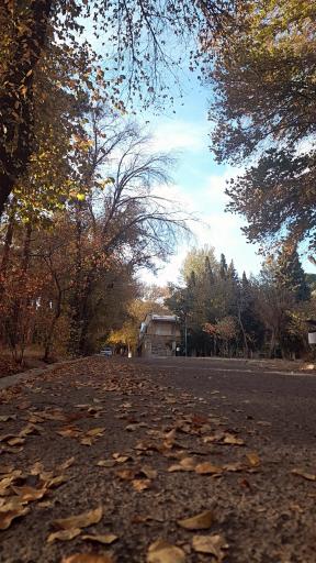 عکس دانشکده علوم اداری و اقتصاد دانشگاه اصفهان