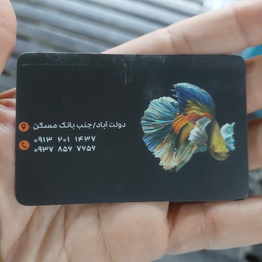 عکس برکه آبی