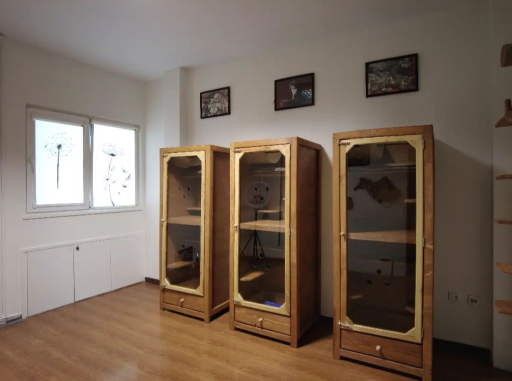 عکس هتل پانسیون سگ و گربه غزل