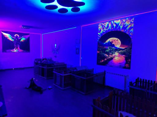 عکس هتل پانسیون سگ و گربه غزل