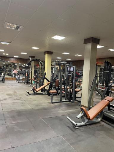 عکس باشگاه گلد جیم