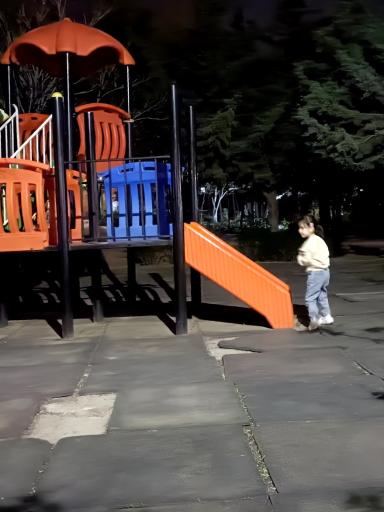 عکس پارک اوتیسم