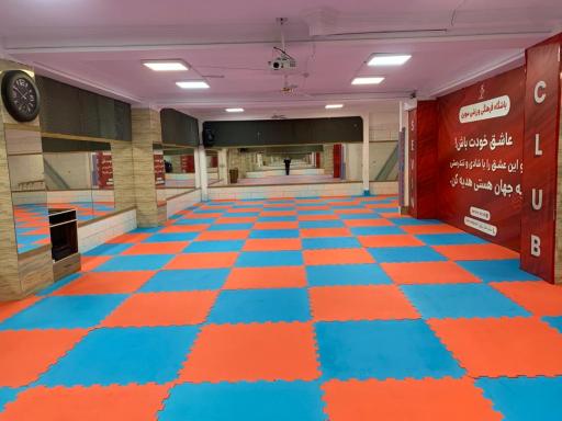عکس باشگاه رقص آذربایجانی سوین