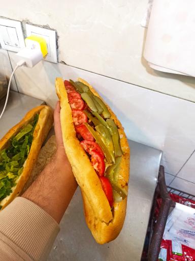 عکس پیتزا و ساندویچ داداشیا