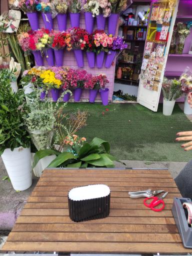 عکس گلفروشی رزالین